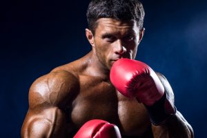 shutterstock_241563811 - Boxer Image