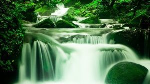 waterfall-1309204_640