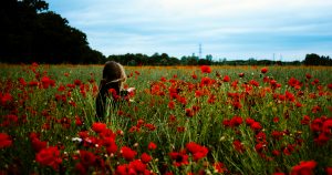 Article 9- Girl in field of flowers