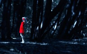 the-girl-in-the-red-dress-in-the-forest-1388645_960_720