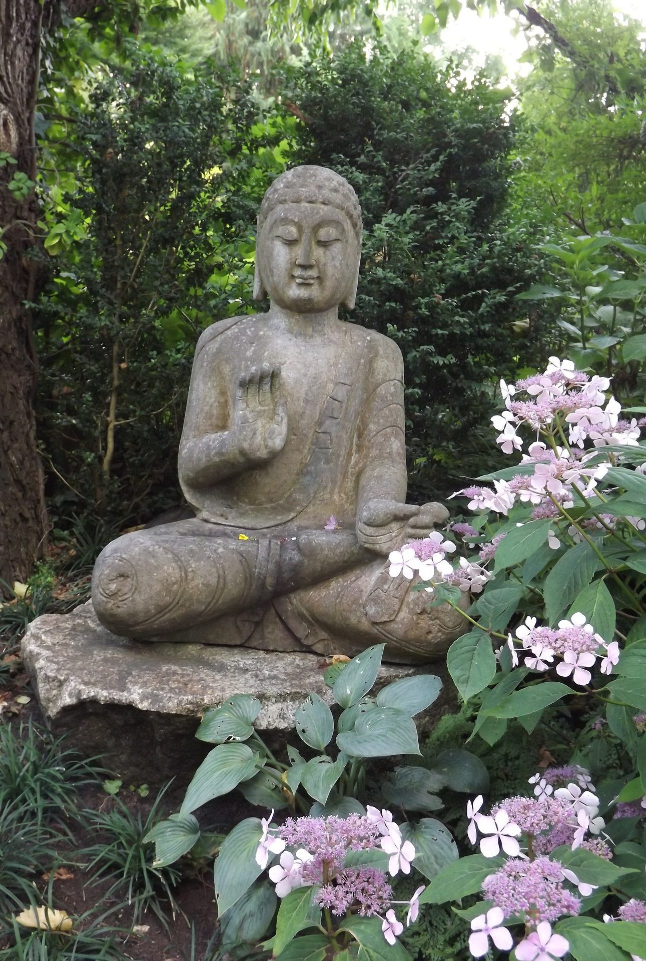 Let the Feng Shui Magic Overflow into Your Garden - Spiritual Biz Magazine